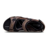 Ecco - Yucatan M - Herrensandale - brown/black